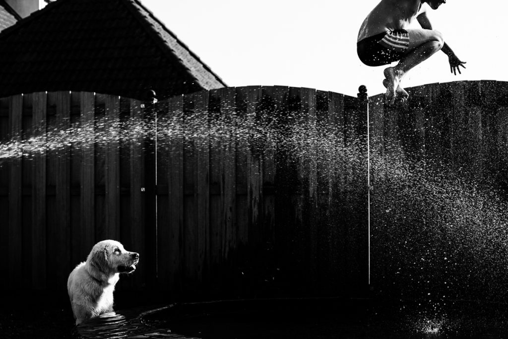 Jongen springt op trampoline in de zomer terwijl golden retriever toekijkt, met deze foto heeft Maljaars Fotografie de tweede prijs gewonnen in de NRC fotowedstrijd