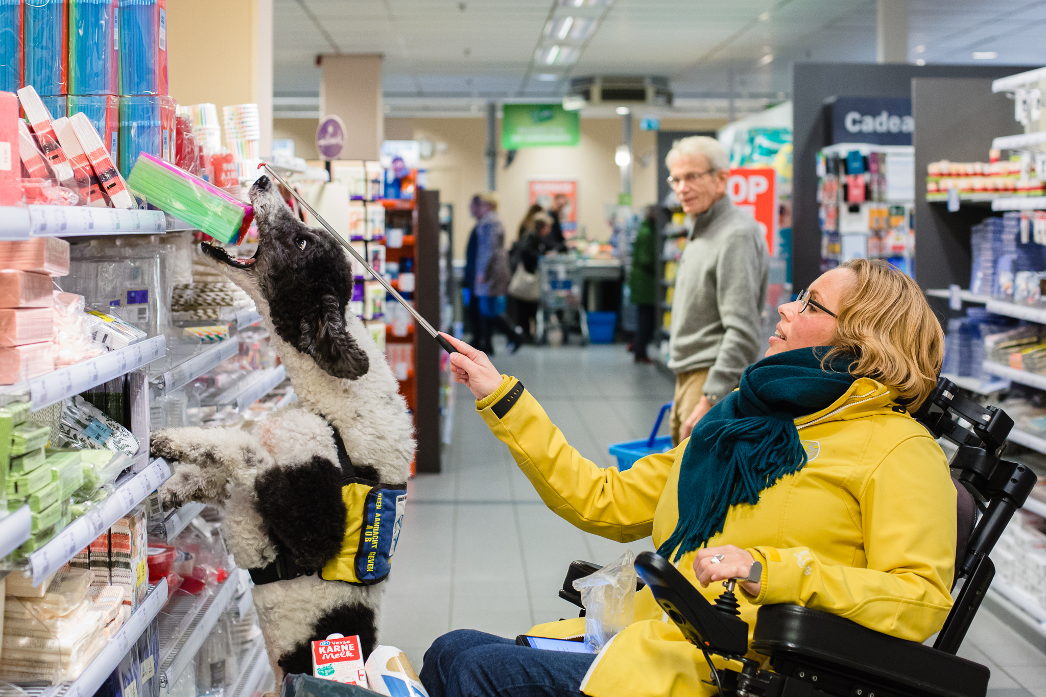 Hulphond helpt met boodschappen doen bij supermarkt van Albert Heijn, fotoproject over hulphonden in Nederland door Maljaars Fotografie
